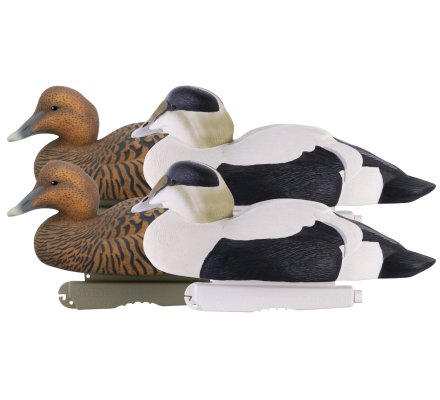 Pack 4 appelants eiders moussés HD GHG
