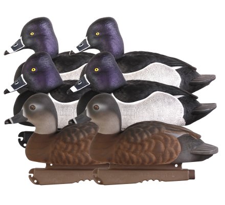 Pack 6 appelants canards morillons moussés HD GHG