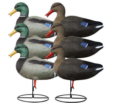 Pack 6 colverts à pattes actifs