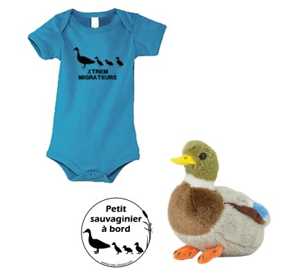 Pack naissance colvert bleu