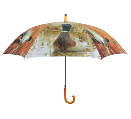 Parapluie canard