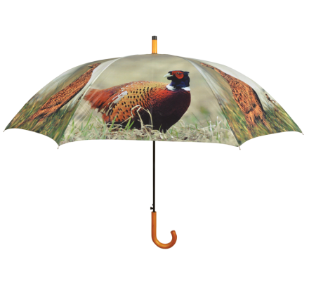 Parapluie faisan