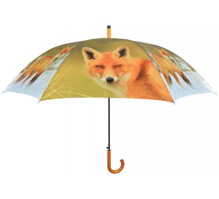 Parapluie renard