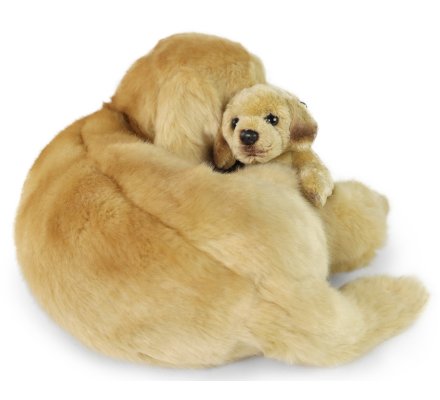 Peluche chien golden retriever cheap