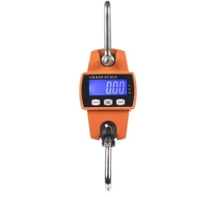 Peson Balance Digitale VERNEY CARRON