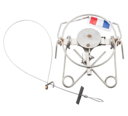 Piège à lacet pour la capture du renard