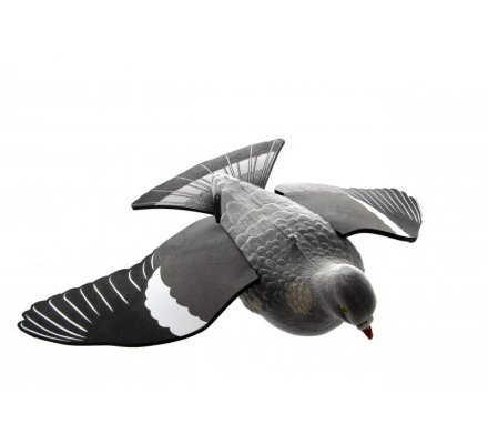 Appelant Pigeon à ailes déployées EVA 