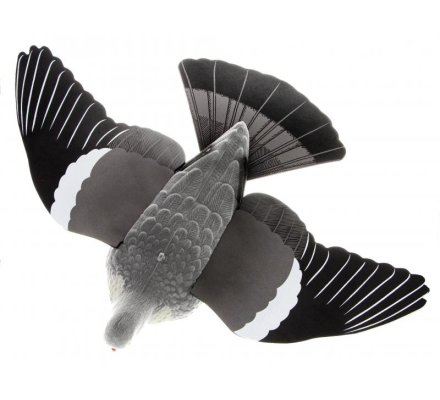 Pack Pigeon Premium