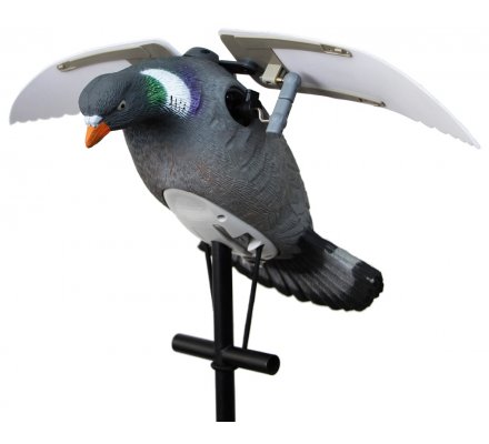 Appelant pigeon à ailes battantes HD électrique LUCKY DUCK