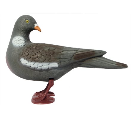 Pack 12 pigeons ramiers actifs avec pattes 