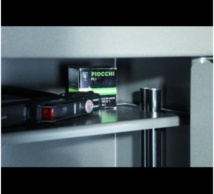 Armoire 5 armes dont une dans la porte INFAC SAFE