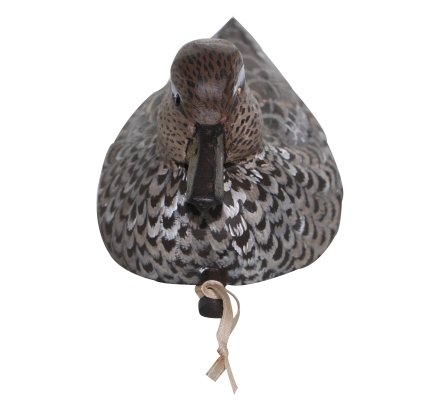 Sculpture bois Sarcelle d'hiver femelle BELMAS