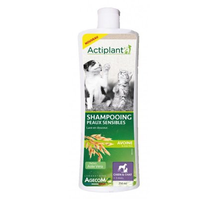 Shampooing peaux sensibles pour chien ACTIPLANT
