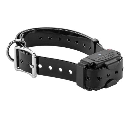 Système anti-fugue sans fil Canifugue FUG1034 avec borne + collier NUM’AXES