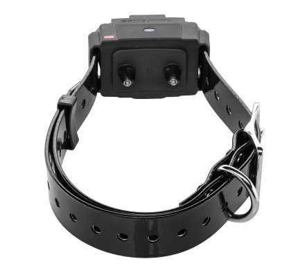 Système anti-fugue sans fil Canifugue FUG1034 avec borne + collier NUM’AXES
