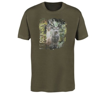 Tee-shirt Cerf kaki PERCUSSION