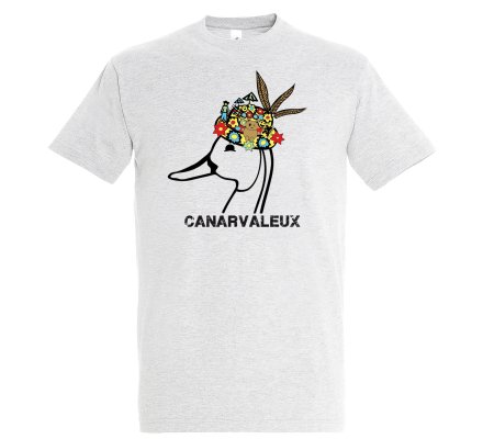 Tee-shirt gris CANARVALEUX