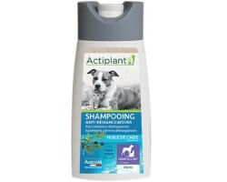 Shampooing Anti-démangeaisons pour chien ACTIPLANT
