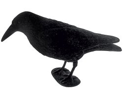 Appelant corbeau floqué avec pattes 