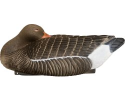 Appelant oie cendrée dormeuse HD 