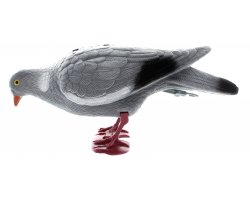 Appelant pigeon floqué avec pattes qui picore