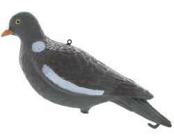 Appelant pigeon ramier sans pattes 