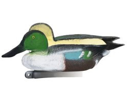 Appelant canard souchet mâle moussé