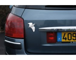 Autocollant bécasse chromé 3D