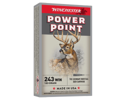 Balles 243WIN Power-point 100grain WINCHESTER