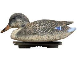 Appelant colvert femelle Sportplast 