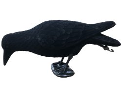 Appelant corbeau mangeur floqué avec pattes