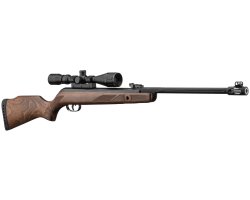 Carabine à air comprimé Hunter 440 AS avec lunette 3-9x40 WR GAMO