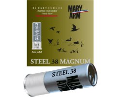 cartouche_acier_steel_38_magnum_mary_arm_cote_chasse