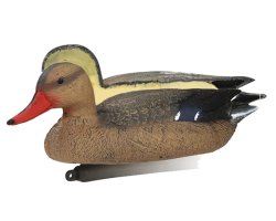 Appelant canard colvert femelle moussé 