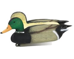 Appelant canard colvert mâle moussé 