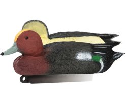 Appelant canard siffleur mâle moussé 