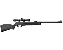 Carabine Black Bear GAMO et lunette 4x32 WR