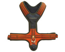 Harnais néoprène orange pour chien - Niggeloh