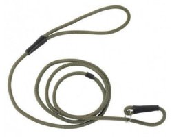 Laisse de dressage kaki pour chien