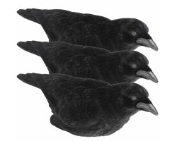 Pack 3 corbeaux magnum HD floqués LUCKY DUCK