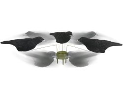 Pack 3 corbeaux HD floqué spécial manège à corbeaux LUCKY DUCK