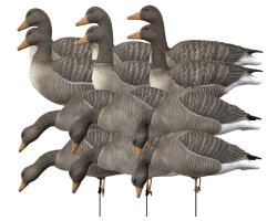 Pack 12 oies cendrées à pattes full HD XTREM MIGRATEURS