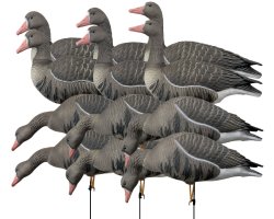 Pack 12 oies rieuses à pattes full HD XTREM MIGRATEURS