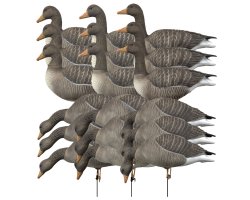 Pack 12 oies cendrées à pattes full HD XTREM MIGRATEURS
