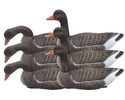 Pack 6 oies cendrées flottantes actives