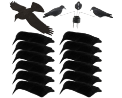 Pack découverte 12 appelants corbeaux coquilles floquées, EVA et manège à corbeaux
