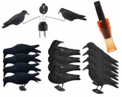 Pack premium 12 appelants, appeau et manège à corbeaux