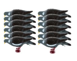 Pack 12 Appelants Pigeons avec pattes qui picorent