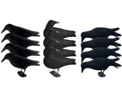 Pack corbeaux floqués actifs