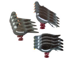 Pack 12 pigeons ramiers actifs avec pattes